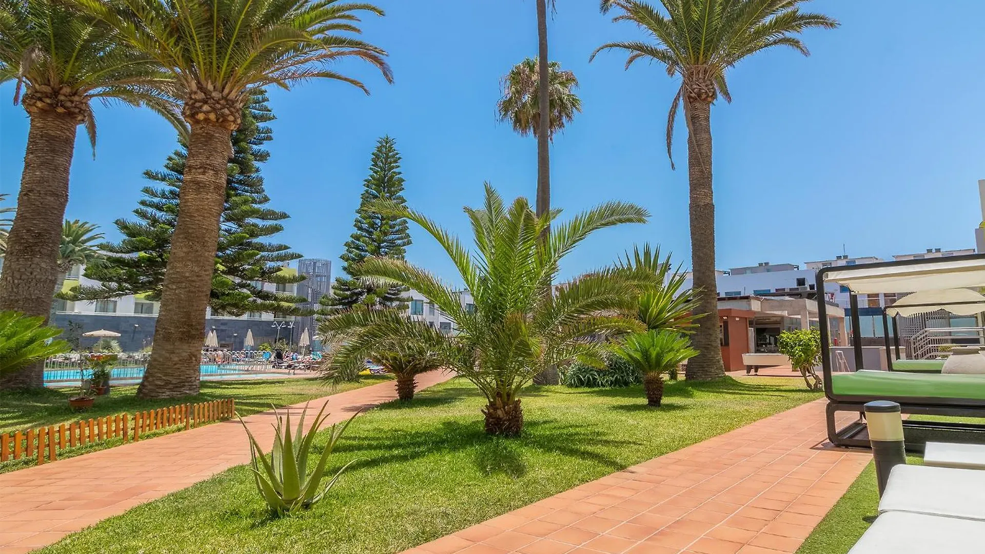 Hotel Livvo Corralejo Beach Spain
